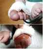 DSC_0429a.jpg